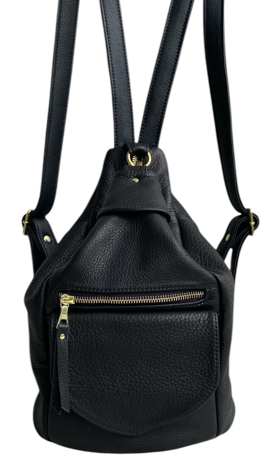 The CLEO (Medium)